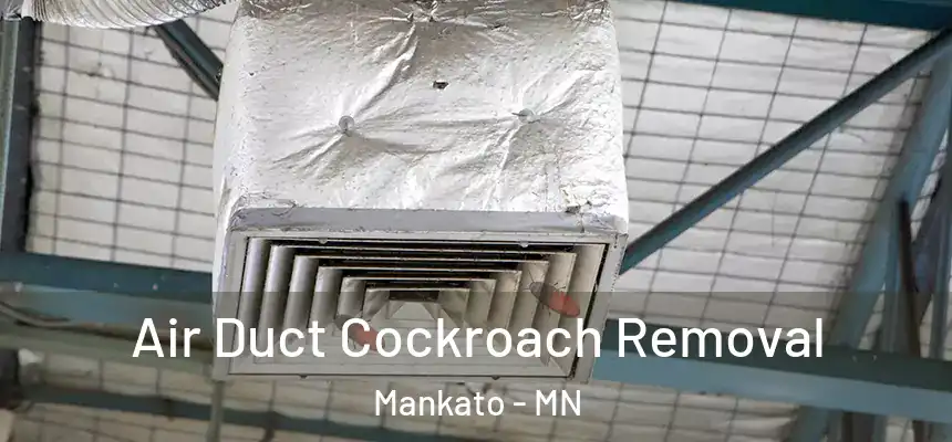 Air Duct Cockroach Removal Mankato - MN