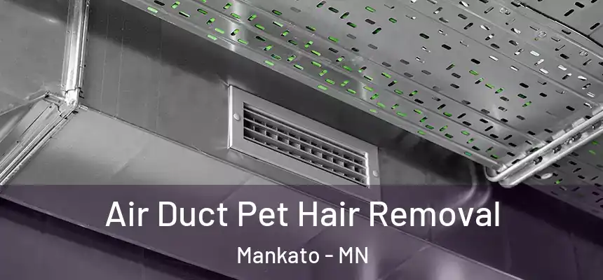 Air Duct Pet Hair Removal Mankato - MN