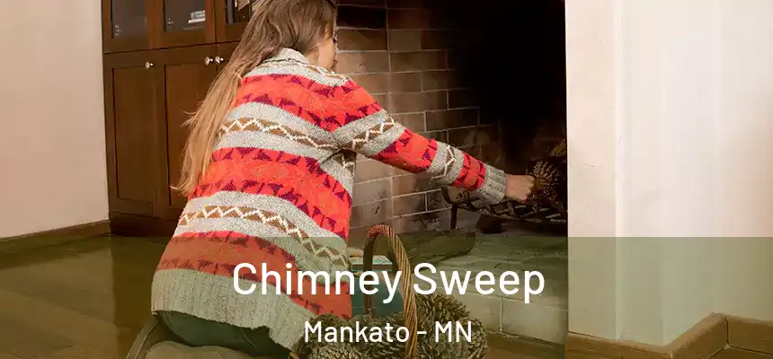  Chimney Sweep Mankato - MN