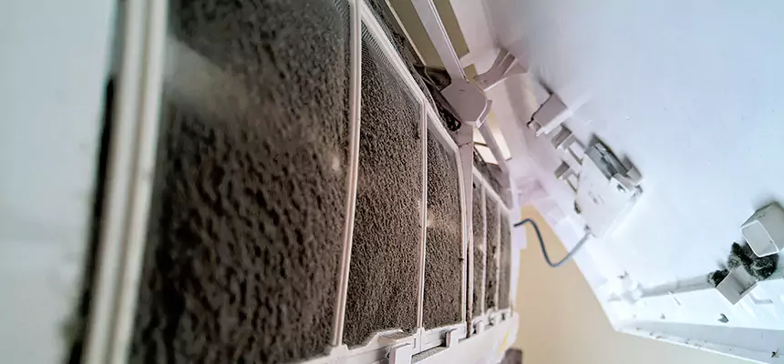 Preventive Air Duct Bacteria Removal in Mankato