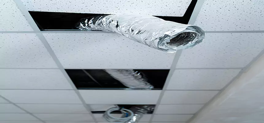 Affordable HVAC Sanitizing After Pest Removal in Mankato