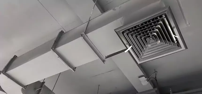 Restorative Allergy Relief Vent Cleaning – Coil, Blower & Housing Detail in Mankato