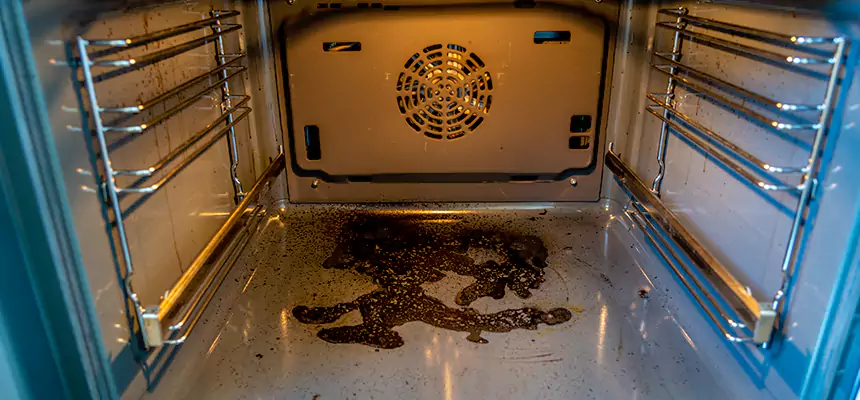 Our Dryer Vent Mold Cleaning Services in Mankato, MN