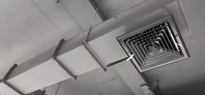 Our Rodent Droppings In Vents Services in Mankato, MN