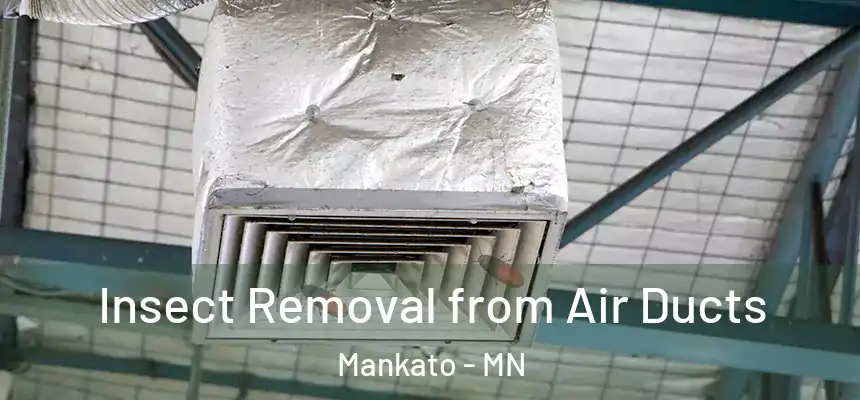 Insect Removal from Air Ducts Mankato - MN
