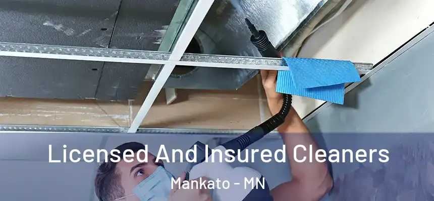  Licensed And Insured Cleaners Mankato - MN