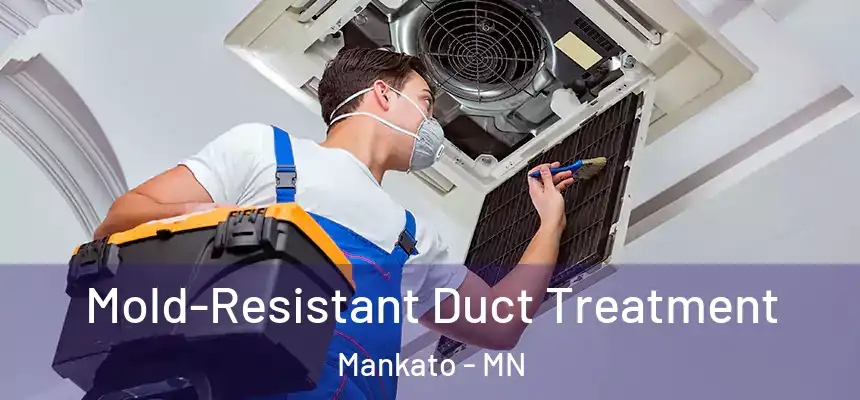 Mold-Resistant Duct Treatment Mankato - MN