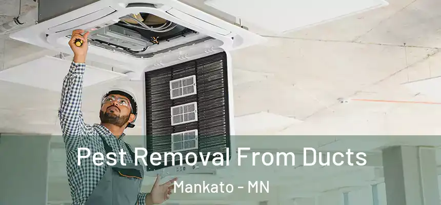 Pest Removal From Ducts Mankato - MN