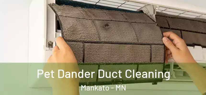 Pet Dander Duct Cleaning Mankato - MN