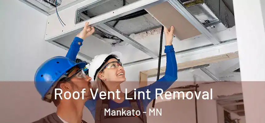  Roof Vent Lint Removal Mankato - MN
