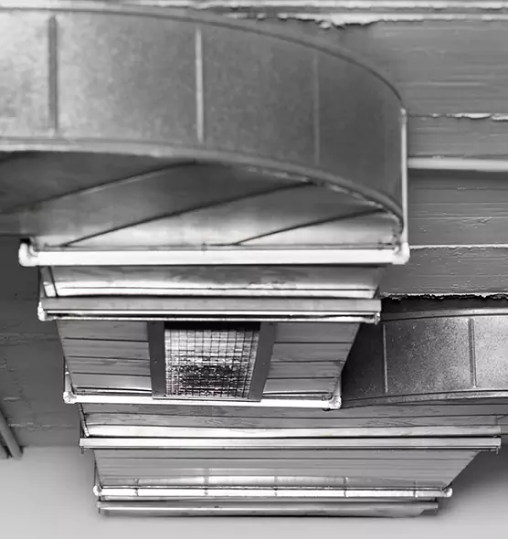 Professional Air Duct Pet Hair Removal in Mankato, MN