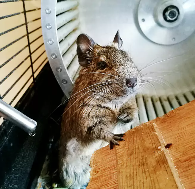 Why Homeowners & Businesses Trust Us Mankato, MN