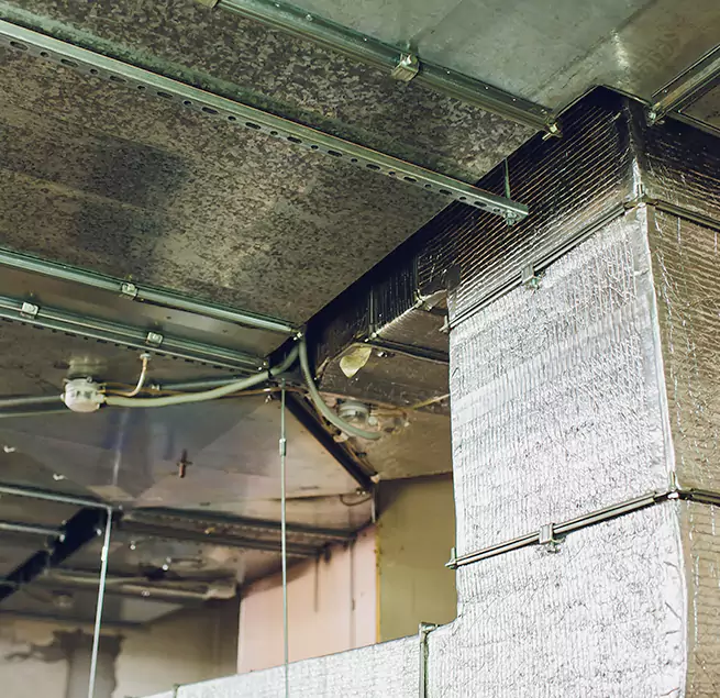 Why Homeowners & Businesses Trust Us in Mankato, MN?